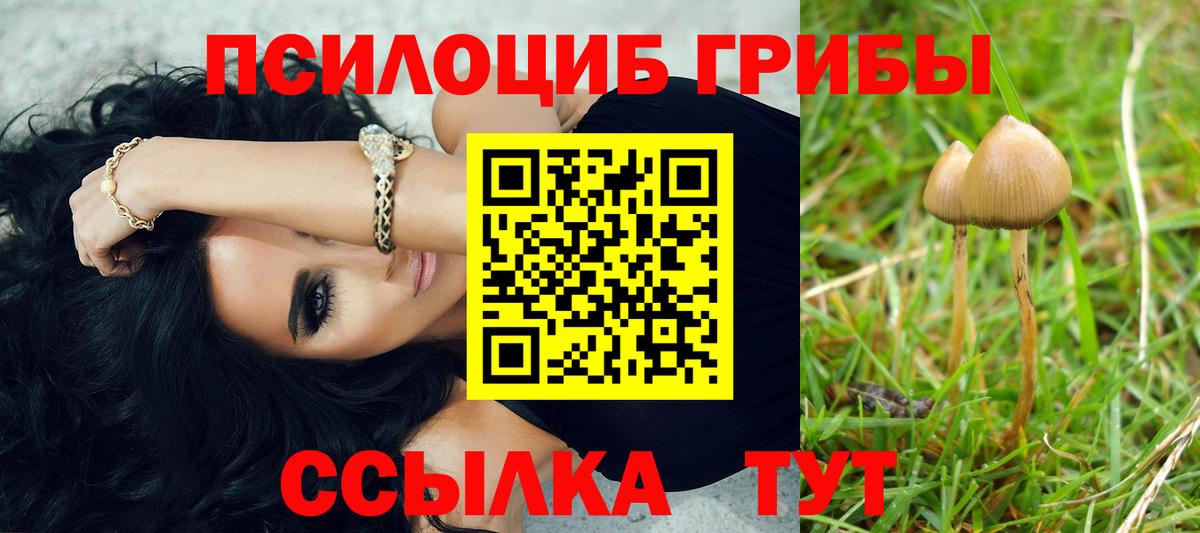 Минусинск  Псилоцибиновые грибы Cubensis  Галлюциногенные грибы прущие грибы  Вход с VPN 