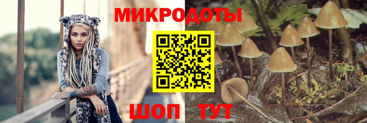 Галлюциногенные грибы прущие грибы Минусинск